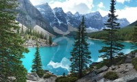 世界登山青年导师生态修复示范区第52批结项成果公布，国际登山