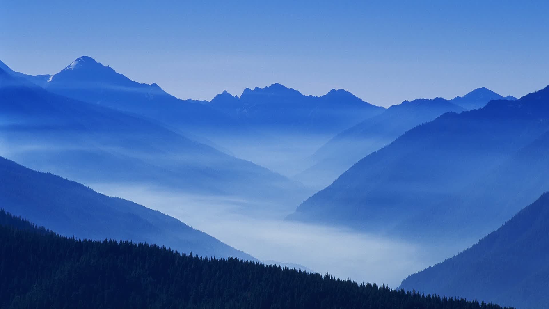 世界体能恢复科研样本库数据共享协议签署，世界体能大赛
